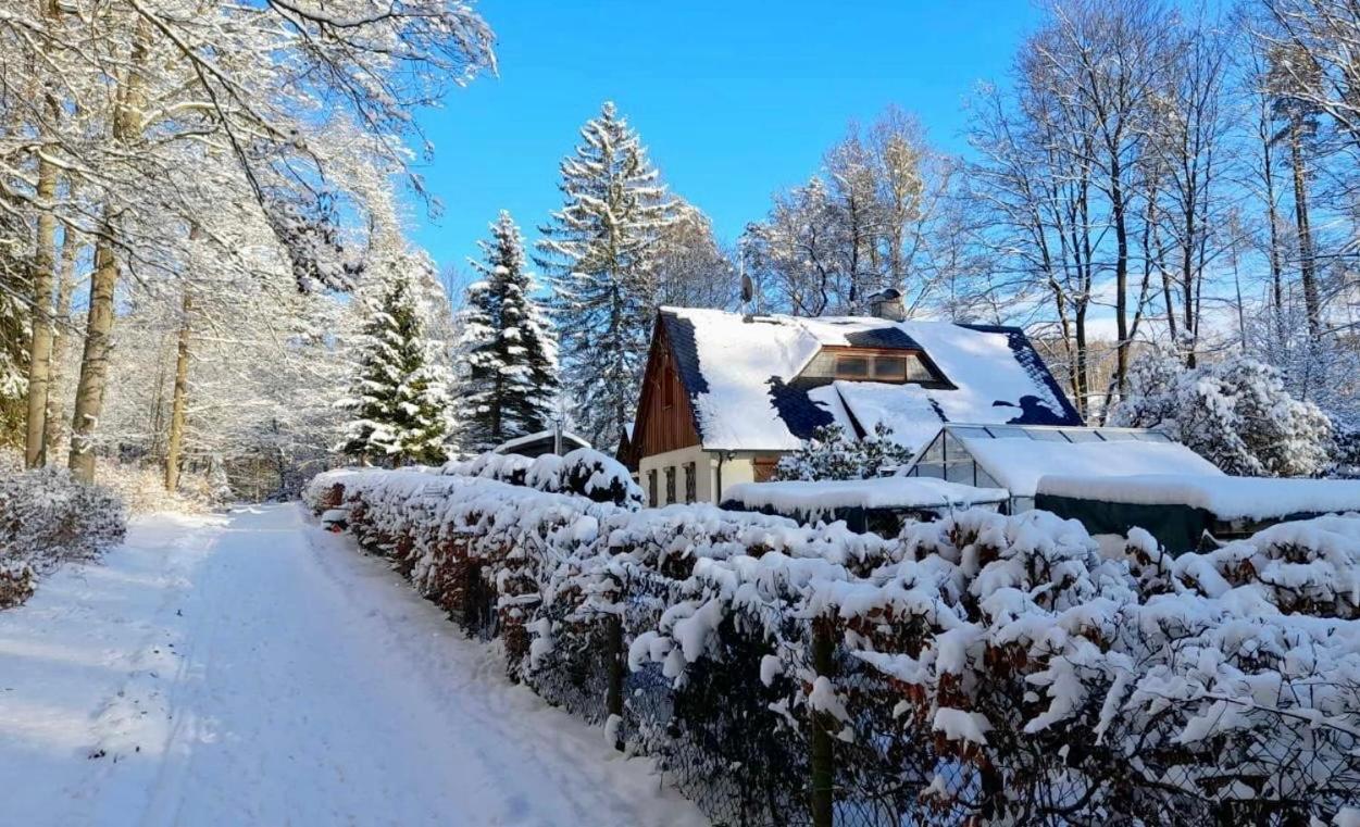 Ferienhaus Jaegerhaus Oppach Privathaus Extérieur photo