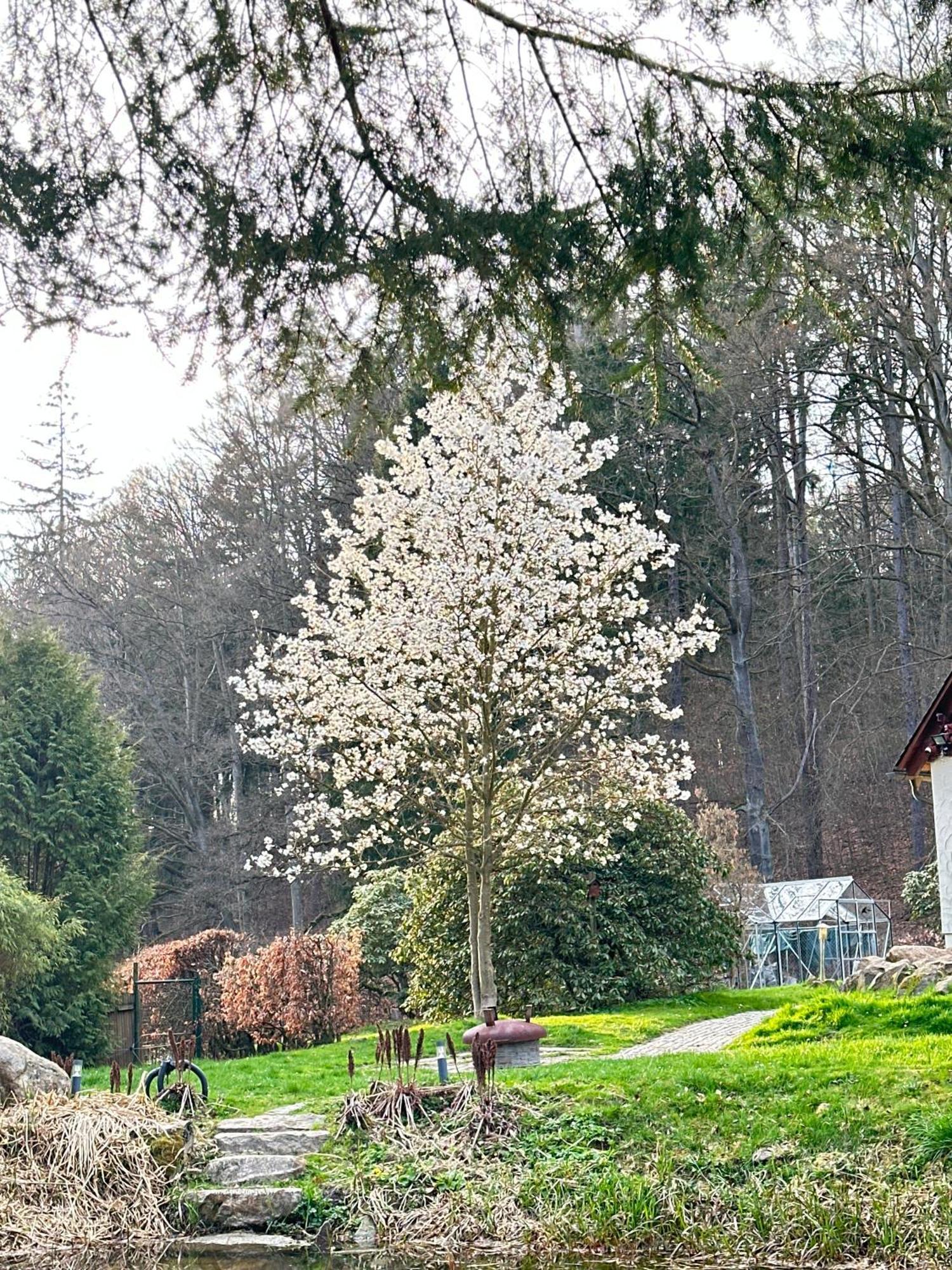 Ferienhaus Jaegerhaus Oppach Privathaus Extérieur photo